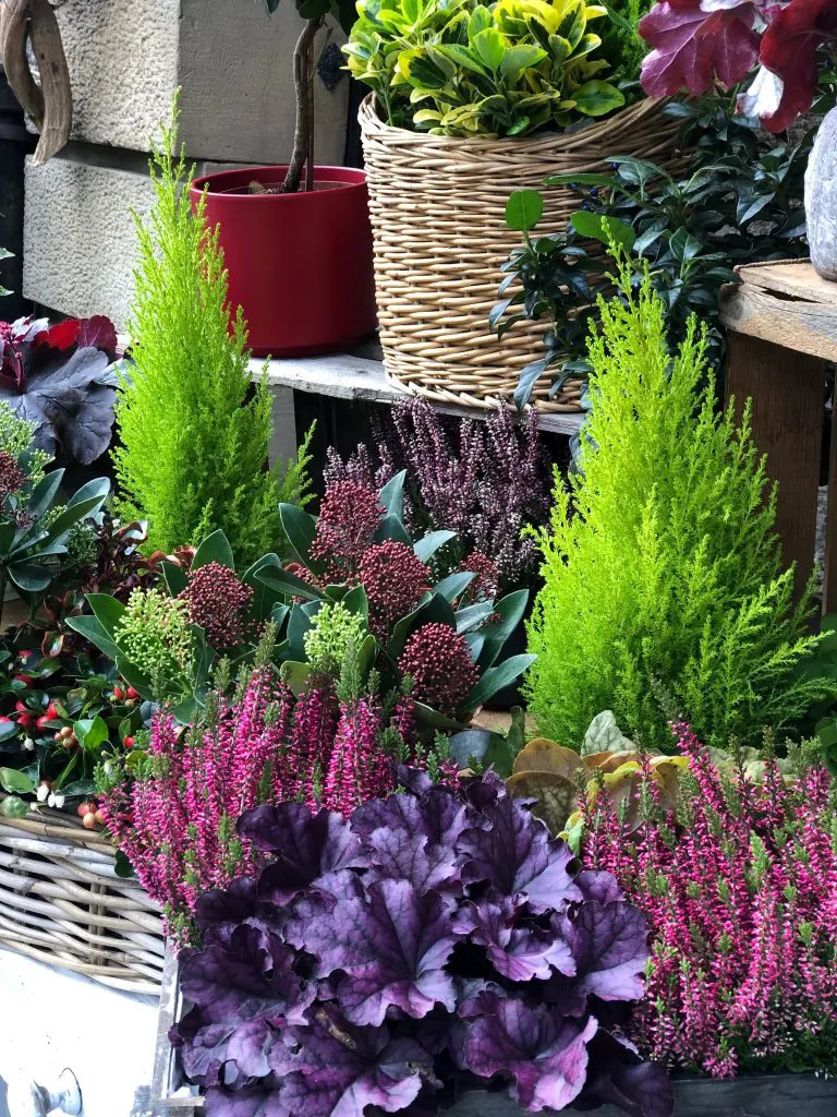 Aux fleurs de l'Orangerie : Artisan fleuriste à Strasbourg