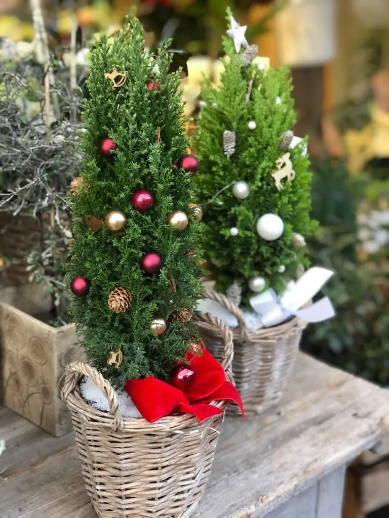 Aux fleurs de l'Orangerie : Artisan fleuriste à Strasbourg