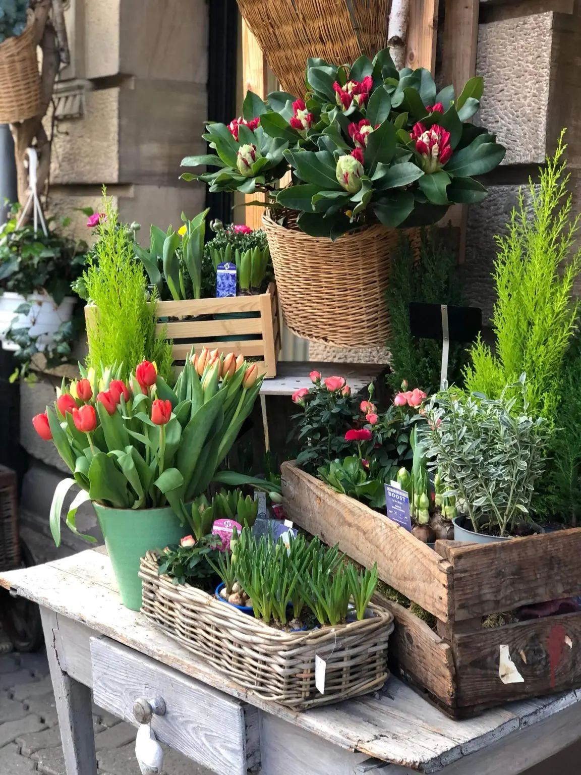 Aux fleurs de l'Orangerie : Artisan fleuriste à Strasbourg