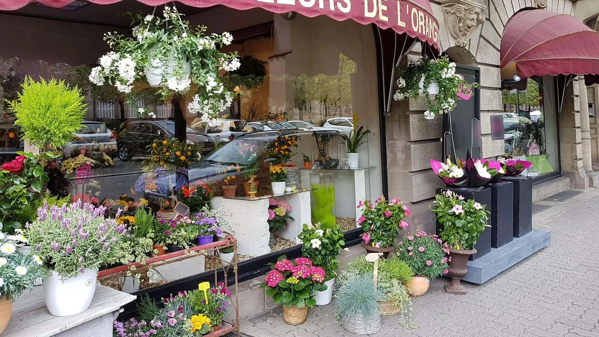 Aux fleurs de l'Orangerie : Artisan fleuriste à Strasbourg